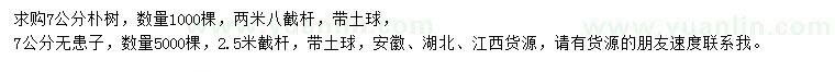 求購7公分樸樹(shù)、無(wú)患子