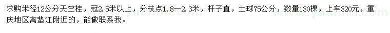 求購米徑12公分天竺桂