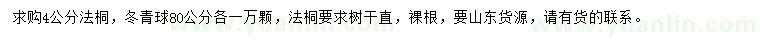 求購4公分法桐、80公分冬青球