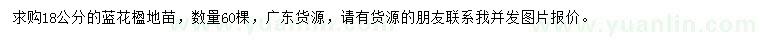 求購(gòu)18公分藍(lán)花楹