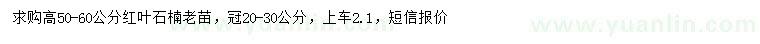 求購(gòu)高50-60公分紅葉石楠