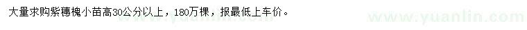 求購高30公分以上紫穗槐小苗