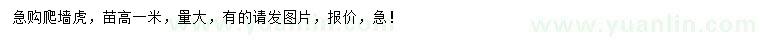 求購高1米爬墻虎