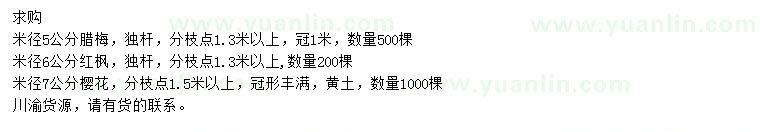 求購(gòu)臘梅、紅楓、櫻花