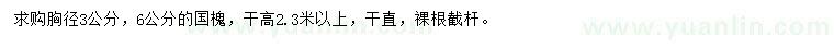 求購胸徑3、6公分國槐