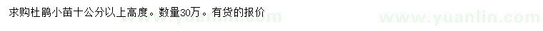 求購高10公分以上杜鵑