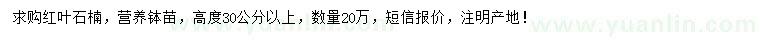 求購高30公分以上紅葉石楠