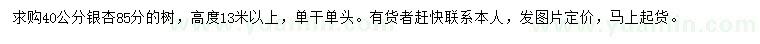 求購40公分銀杏