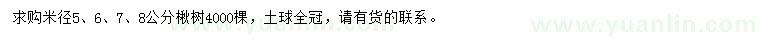 求購米徑5、6、7、8公分楸樹
