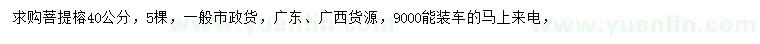 求購40公分菩提榕