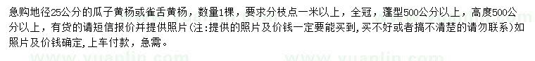 求購地徑25公分瓜子黃楊、雀舌黃楊