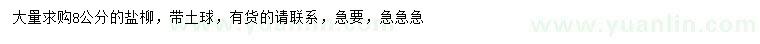 求購8公分鹽柳