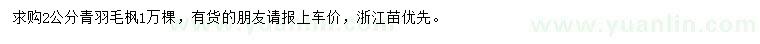 求購2公分青羽毛楓