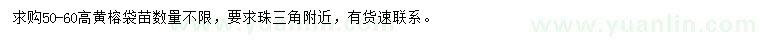 求購(gòu)高50-60公分黃榕