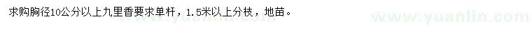 求購胸徑10公分以上九里香