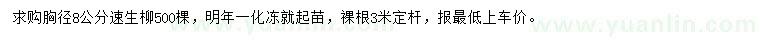 求購胸徑8公分速生柳