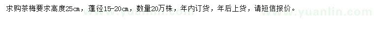 求購(gòu)高度25公分茶梅