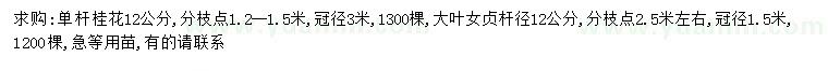 求購12公分單桿桂花、桿徑12公分大葉女貞