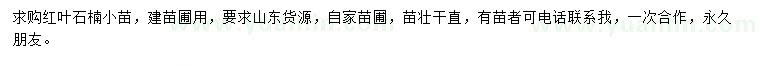 求購(gòu)紅葉石楠小苗
