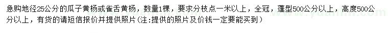 求購地徑25公分瓜子黃楊或雀舌黃楊