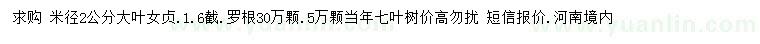 求購(gòu)米徑2公分大葉女貞、七葉樹(shù)