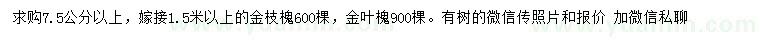 求購7.5公分以上金枝槐、金葉槐