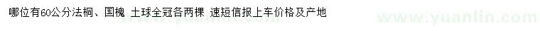 求購60公分法桐、國槐