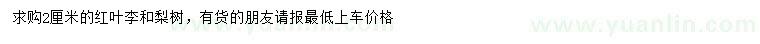 求購(gòu)2公分紅葉李、梨樹(shù)