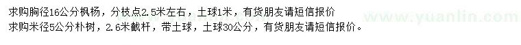 求購胸徑16公分楓楊、米徑5公分樸樹