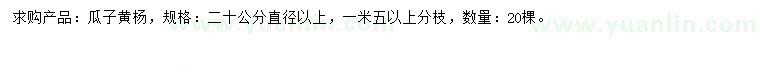 求購直徑20公分以上瓜子黃楊