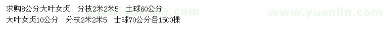 求購8、10公分大葉女貞