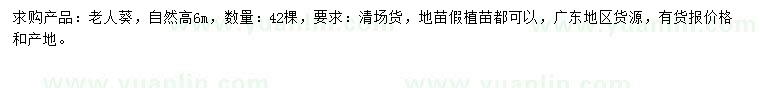 求購高6米老人葵