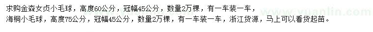 求購高60公分金森女貞小毛球、高75公分海桐小毛球