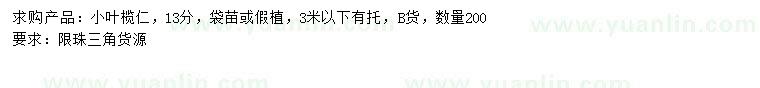 求購(gòu)13公分小葉欖仁