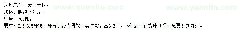求購胸徑14公分黃山欒樹