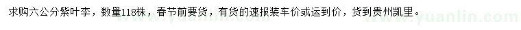 求購6公分紫葉李