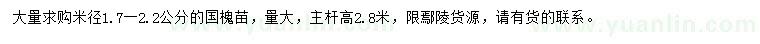 求購米徑1.7-2.2公分國槐