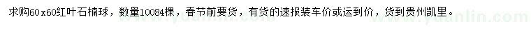 求購60公分紅葉石楠球