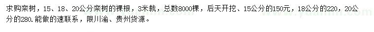求購15、18、20公分欒樹
