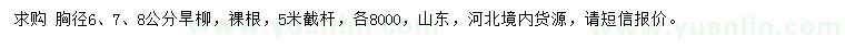 求購(gòu)胸徑6、7、8公分旱柳