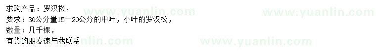 求購30公分量15-20公分羅漢松