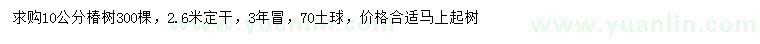 求購(gòu)10公分椿樹(shù)