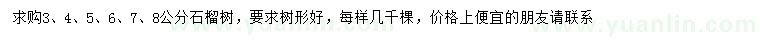 求購3-8公分石榴樹