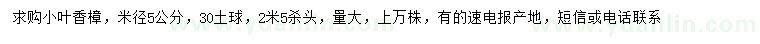 求購米徑5公分小葉香樟