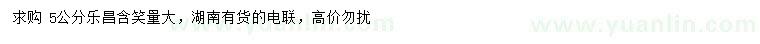 求購5公分樂昌含笑