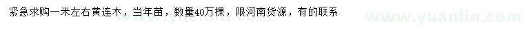 求購1米黃連木