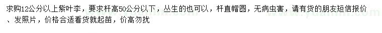 求購12公分以上紫葉李