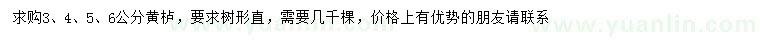 求購3、4、5、6公分黃櫨