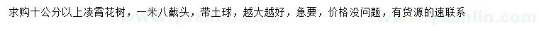 求購10公分以上凌霄花樹