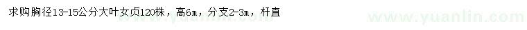 求購胸徑13-15公分大葉女貞